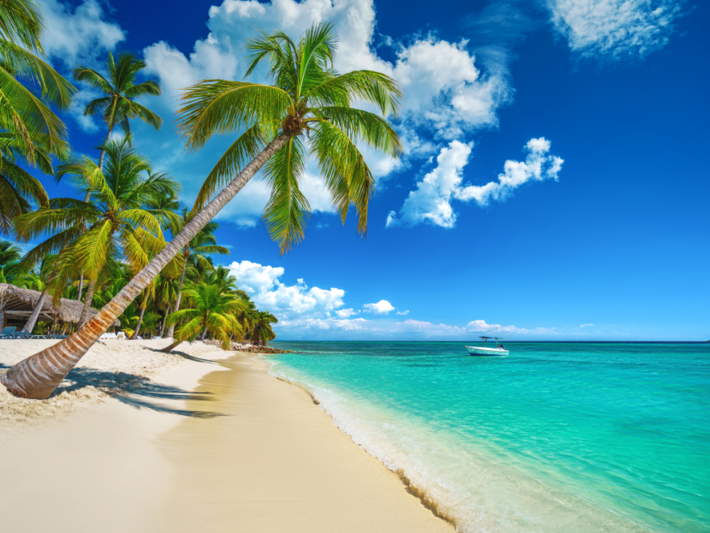 banners home web (1200 x 900 px)