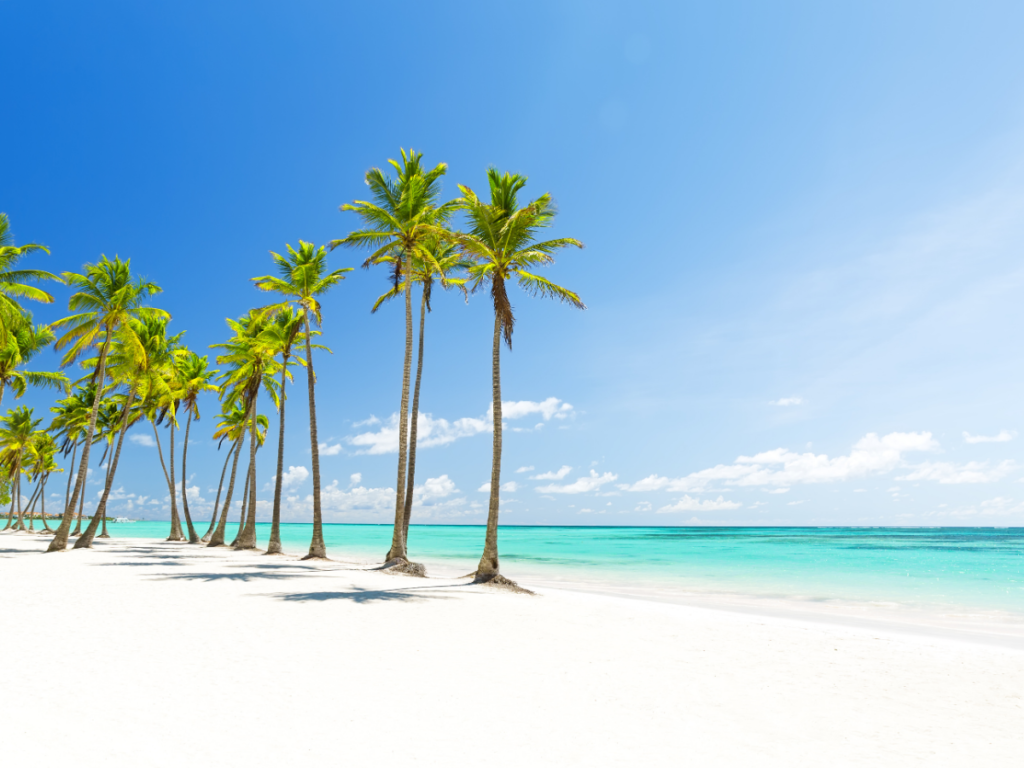 banners home web (1200 x 900 px) (2)