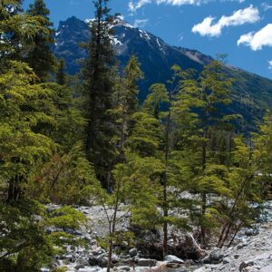 bariloche, argentina, holiday, tourist, water, mountain, nature, andes, black river, mountain range, calm down, andes mountains, patagonia, rocks, natural, america, argentine patagonia, south argentine, landscape, colorful, bariloche, bariloche, bariloche, bariloche, bariloche, patagonia, patagonia