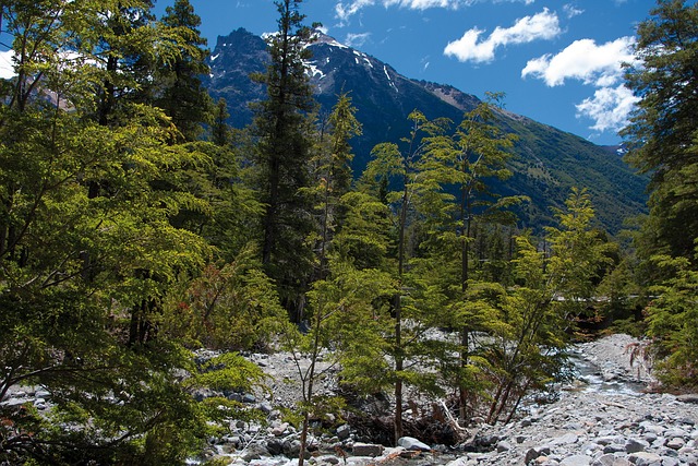 bariloche, argentina, holiday, tourist, water, mountain, nature, andes, black river, mountain range, calm down, andes mountains, patagonia, rocks, natural, america, argentine patagonia, south argentine, landscape, colorful, bariloche, bariloche, bariloche, bariloche, bariloche, patagonia, patagonia