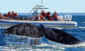 puerto madryn