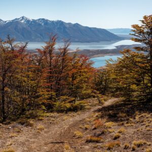 Breathtaking view of autumn trees and mountain landscape, with a tranquil lake in the background.