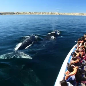 puerto madryn