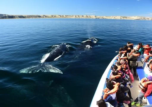 puerto madryn